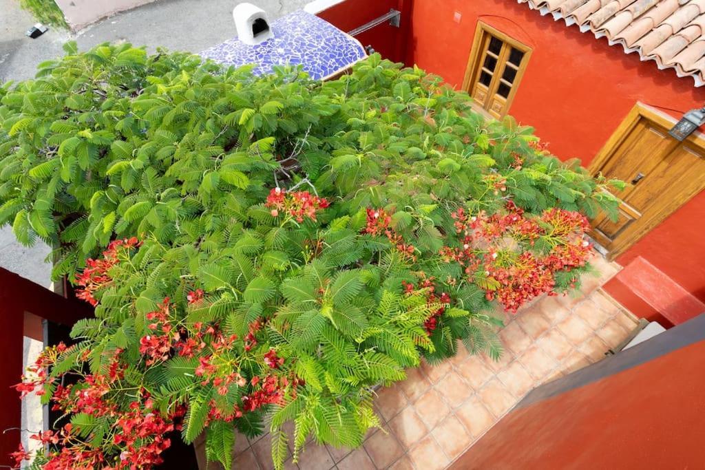 Rural House With Traditional Architecture S. XIX Santa Cruz de Tenerife Ngoại thất bức ảnh